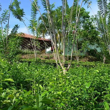 Oriole Villas 本托塔 外观 照片